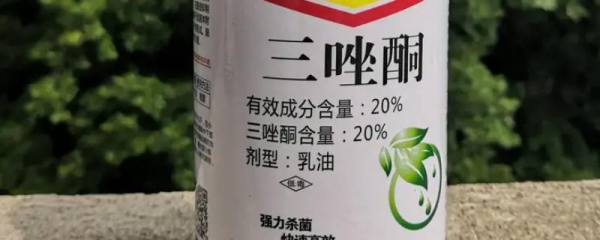 豆渣发酵有机肥的具体方法